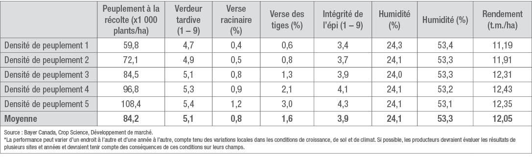 Étude sur les peuplements de maïs-grain